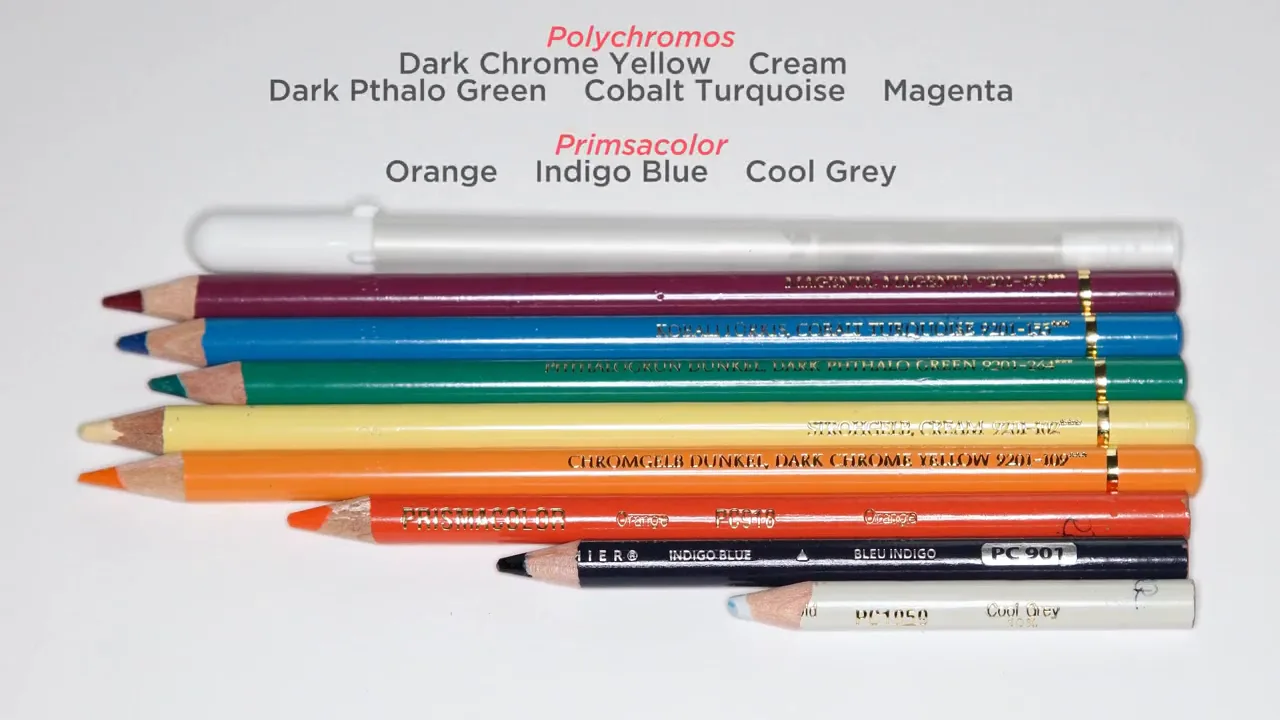 Colored pencils laid out under their names: Polychromos and Prismacolor colors