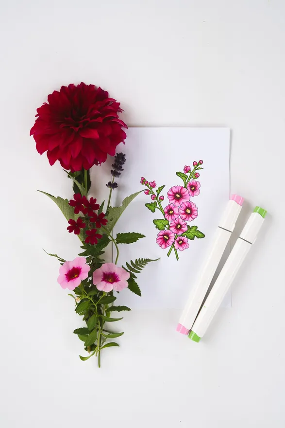 Colored hollyhocks with alcohol markers and fresh flowers