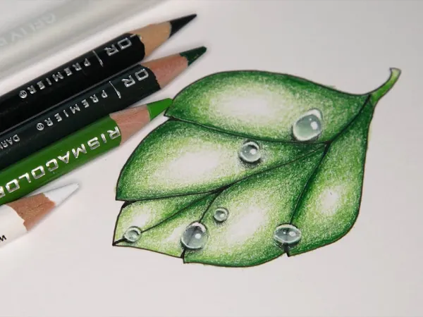 A green leaf colored in pencil with shiny water droplets