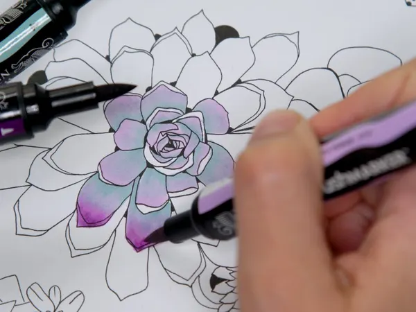 A succulent being colored in purple with markers