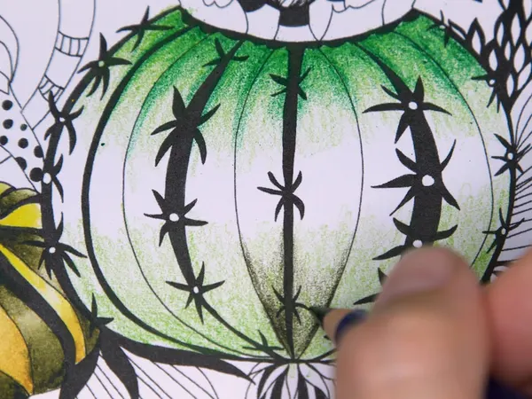 A green cactus colored with Inktense pencils