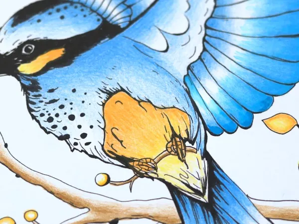 A blue bird colored with gel pens and markers
